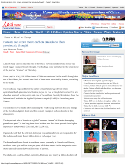 Forests can store more carbon emissions than previously thought