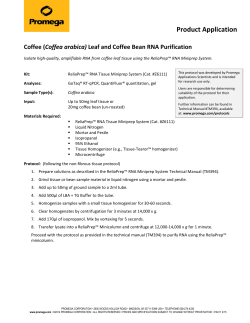 Coffee leaf and bean DNA Purification-
