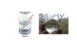 File - Philosophy For Life