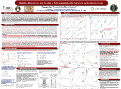 Reaction Mechanisms and Kinetics of Xylo
