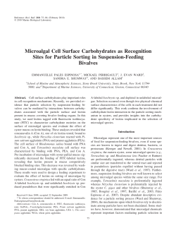 Microalgal Cell Surface Carbohydrates as Recognition Sites for