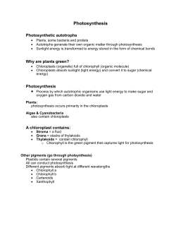 Photosynthesis