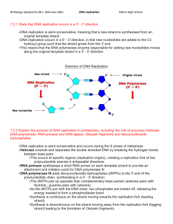 7.2 DNA Replication