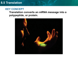 8.5 Translation