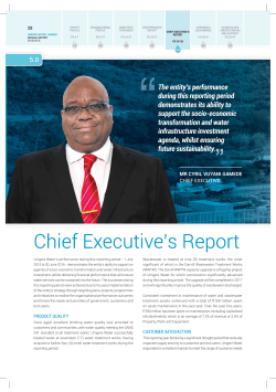 Chief Executive`s Report