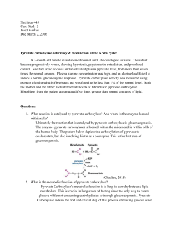 Nutrition_445_Case_Study_2
