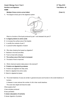 Grade 9 Biology Term 2 Test 2 21st May 2015 Nutrition and