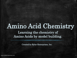 Amino Acid Chemistry - Ryler Enterprises, Inc