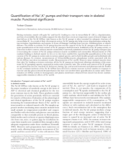 Quantification of Na+,K+ pumps and their transport rate in skeletal
