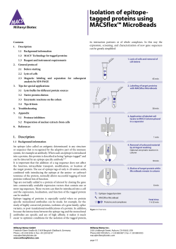 Isolation of epitope- tagged proteins using
