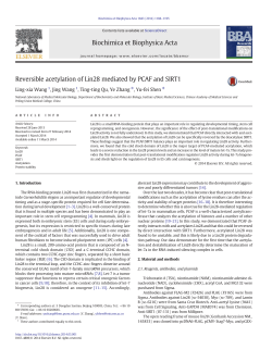 Reversible acetylation of Lin28 mediated by PCAF and SIRT1