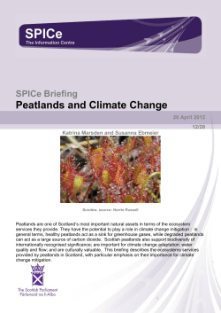 Peatlands and Climate Change