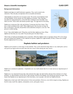 Daphnia habitat and predators