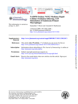 Macrophages Stimulation of Endotoxin