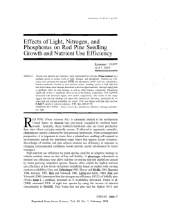 Effects of Light, Nitrogen, and Phosphorus on Red Pine Seedling