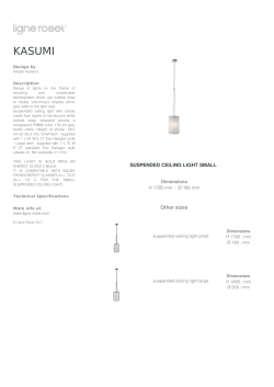 suspended ceiling light small