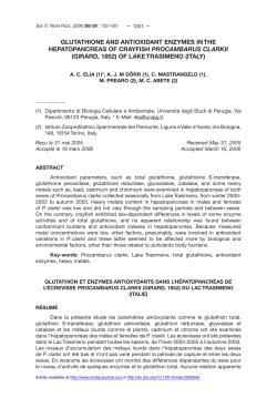 GLUTATHIONE AND ANTIOXIDANT ENZYMES IN THE