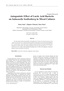 Antagonistic Effect of Lactic Acid Bacteria on Salmonella