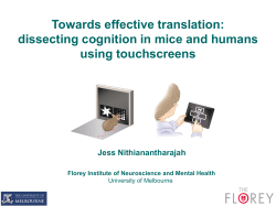 Towards effective translation: dissecting cognition in mice and