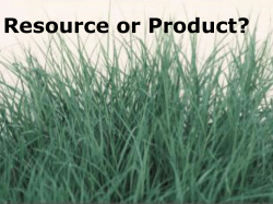 2 PowerPoint - Missouri State University