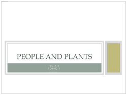 Topic 1 People and plants