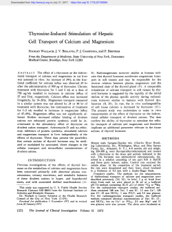 Thyroxine-Induced Stimulation of Hepatic Cell Transport of Calcium