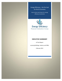 executive summary