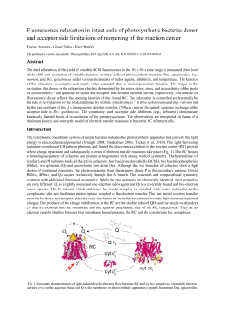 Fluorescence relaxation in intact cells of photosynthetic bacteria