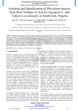 Isolation and Identification of Rhizobium species from Root Nodules