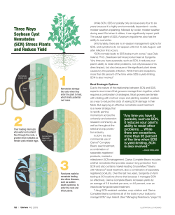 (SCN) Stress Plants and Reduce Yield