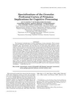 Specializations of the granular prefrontal cortex of primates
