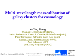 Multi-wavelength mass calibration of galaxy clusters for