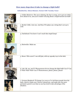 How many dogs does it take to change a light bulb?
