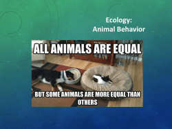 Ecology: Animal Behavior Responding to a Changing Environment