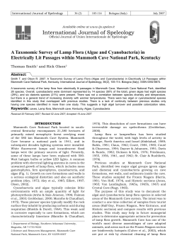 algae and cyanobacteria