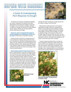 Coping With Drought: A Guide To Understanding Plant Response to