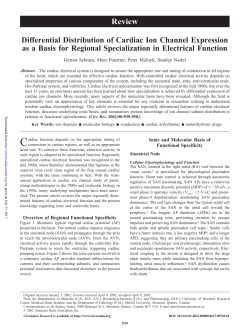 Differential Distribution of Cardiac Ion Channel Expression as a
