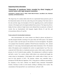 Timescales of membrane fusion revealed by direct imaging of