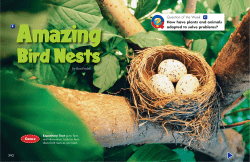 Question of the Week How have plants and animals adapted to