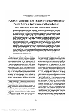 Pyridine nucleotides and phosphorylation potential of rabbit