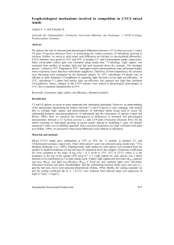 Ecophysiological mechanisms involved in competition in C3/C4