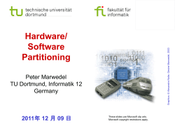 Hardware/software partitioning