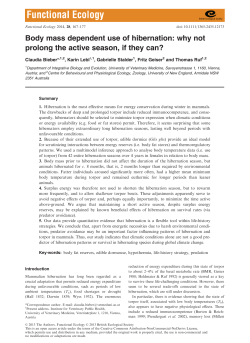 Body mass dependent use of hibernation: why not prolong the active
