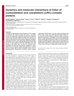 (LINC) complex proteins - Journal of Cell Science