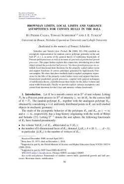Brownian limits, local limits and variance asymptotics for convex