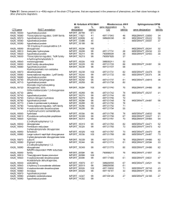M. fortuitum ATCC6841 Rhodococcus JVH1 Sphingomonas DP58