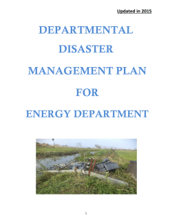departmental disaster management plan for
