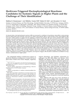 Herbivore-Triggered Electrophysiological Reactions