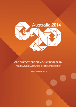G20 Energy Efficiency Action Plan