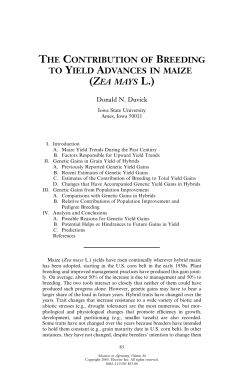 the contribution of breeding to yield advances in maize (zea mays l.)